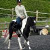 Trot work (5)