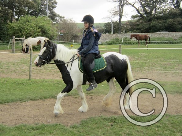 willow-and-libby-10-