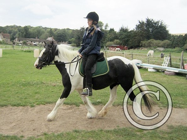 willow-and-libby-11-