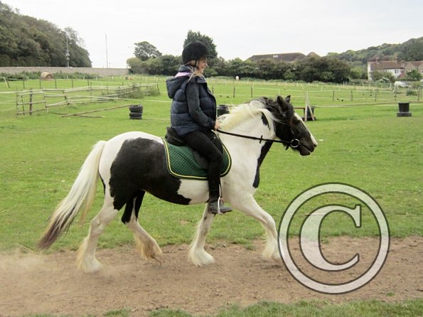 willow-and-libby-12-