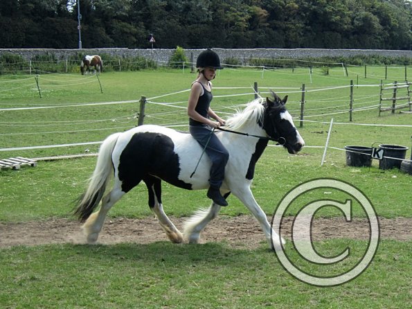 Libby and Willow (10)