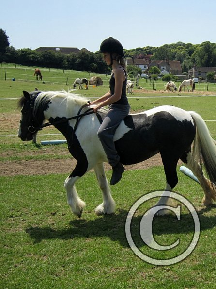 Libby and Willow (16)