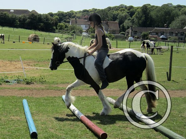 Libby and Willow (19)