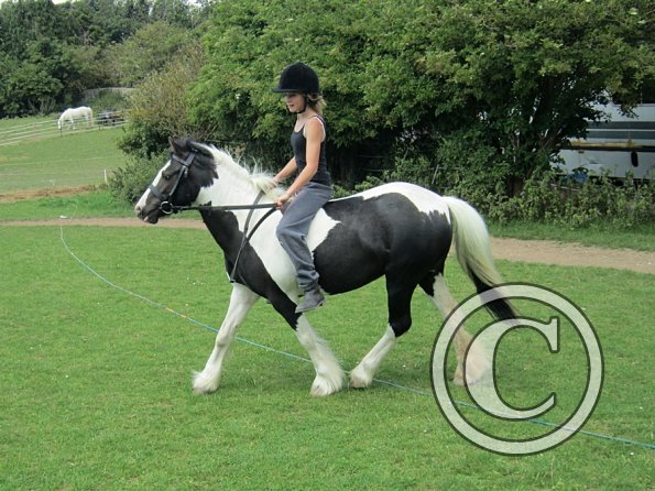 Libby and Willow (9)