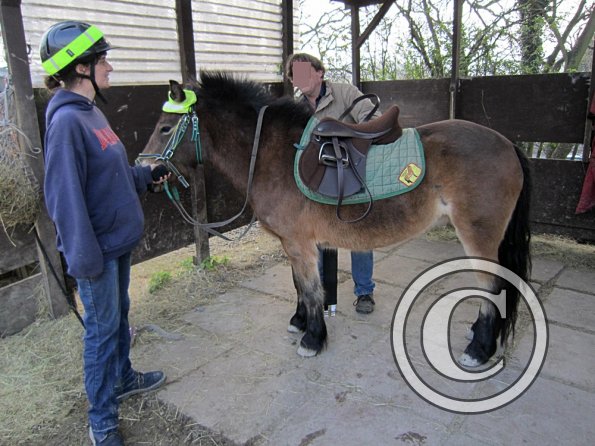 Appley saddle fitting (11)