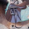 Appley saddle fitting (12)