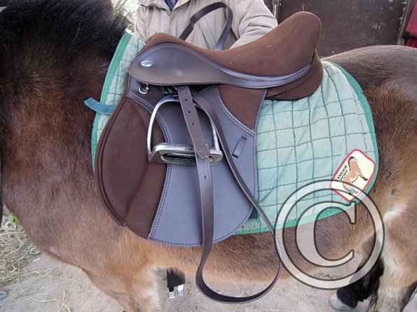 Appley saddle fitting (12)
