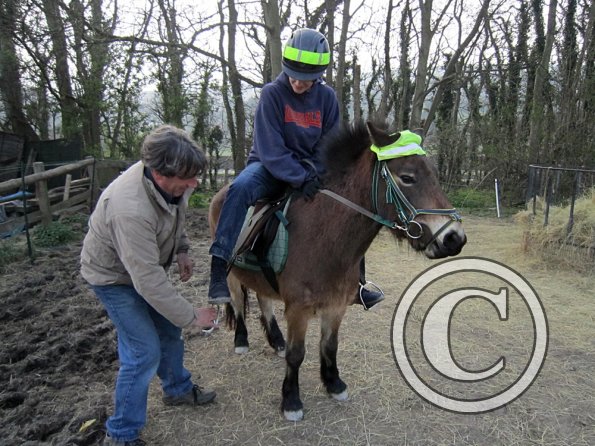 Appley saddle fitting (16)