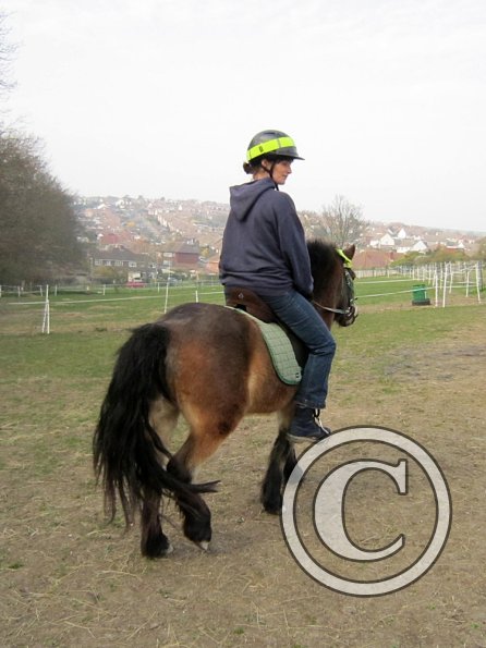 Appley saddle fitting (17)