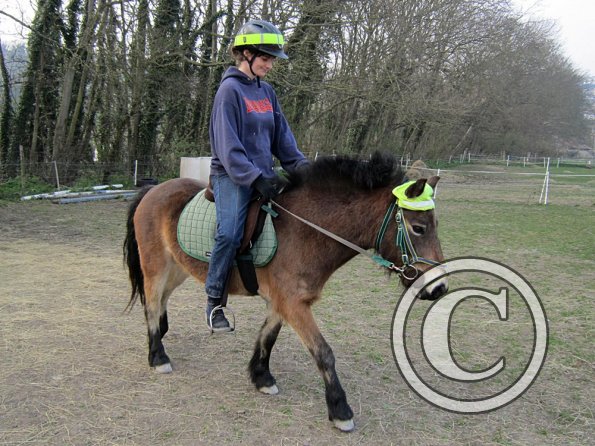 Appley saddle fitting (18)