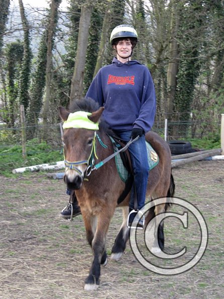 Appley saddle fitting (19)