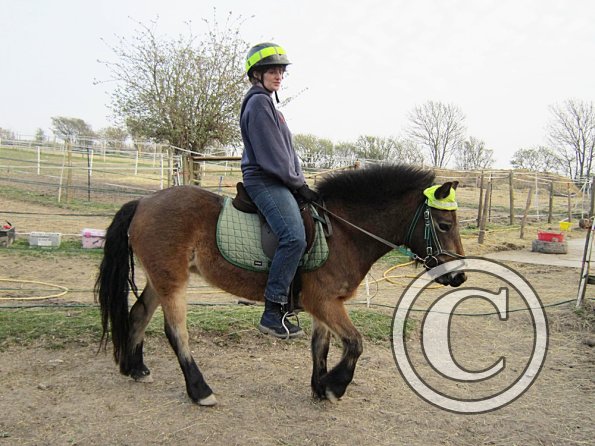 Appley saddle fitting (20)