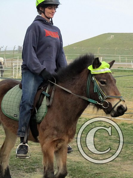 Appley saddle fitting (22)