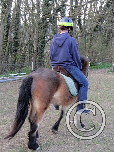 Appley saddle fitting (24)