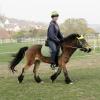 Appley saddle fitting (25)