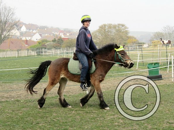 Appley saddle fitting (25)