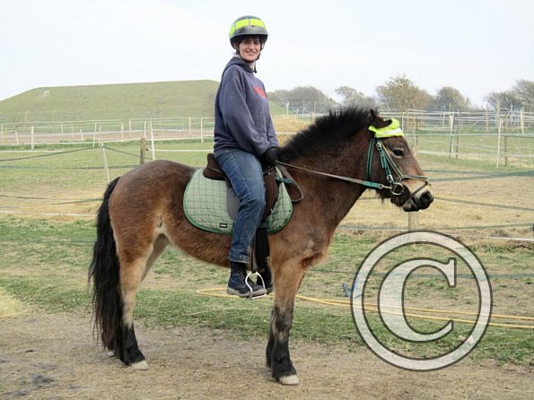 Appley saddle fitting (26)