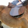 Appley saddle fitting (5)