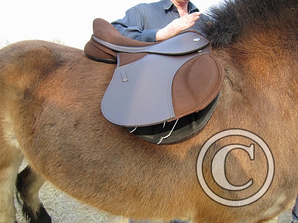 Appley saddle fitting (5)