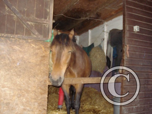 Pepsi is not impressed