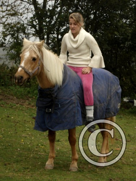 Georgina and Honey (2)