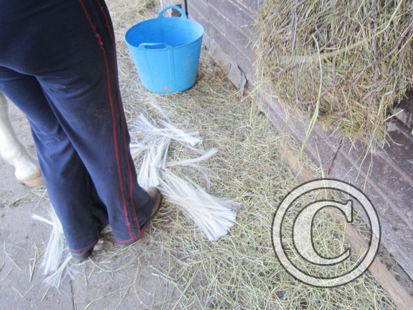 Goodbye Fee mane (4)