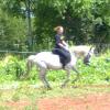 Dressage 3