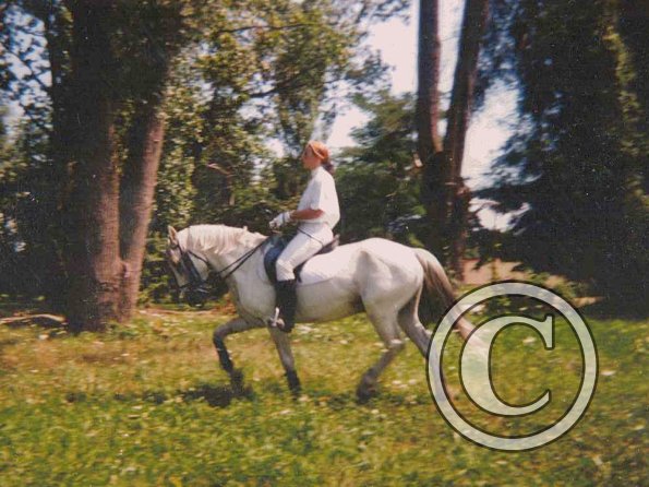 Schooling in fields (2)