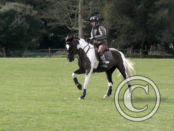 Anna messing about (11)