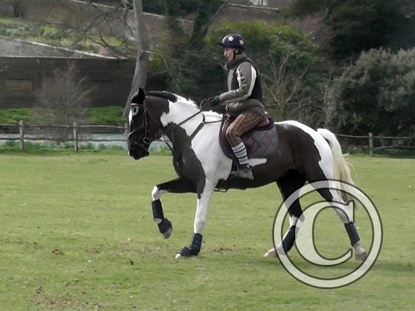 Anna messing about (12)