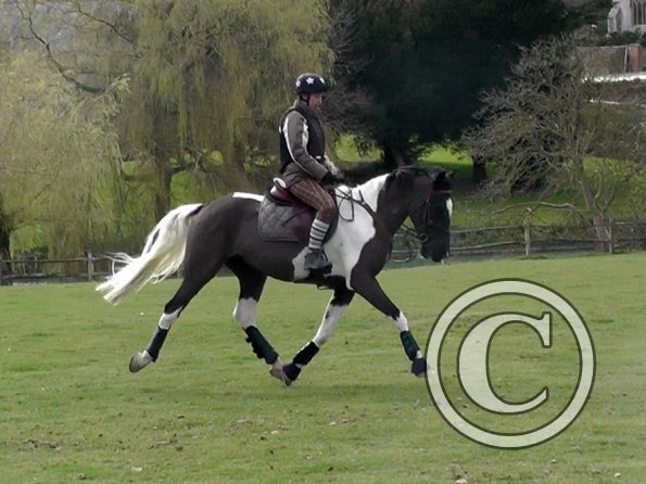 Anna messing about (17)