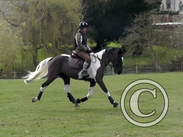 Anna messing about (18)