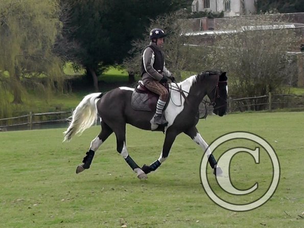 Anna messing about (19)