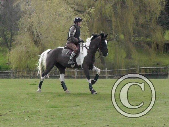 Anna messing about (2)