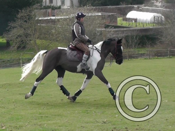 Anna messing about (20)