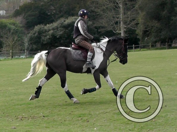 Anna messing about (21)