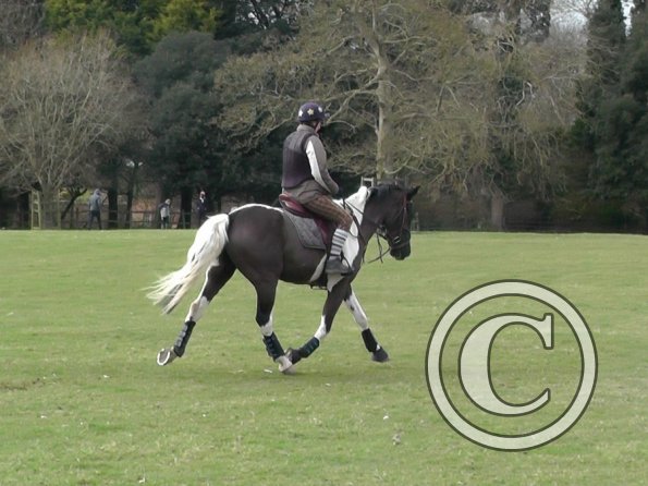 Anna messing about (22)