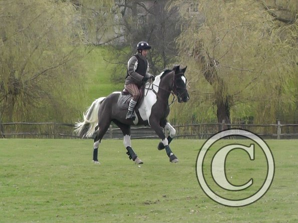 Anna messing about (23)