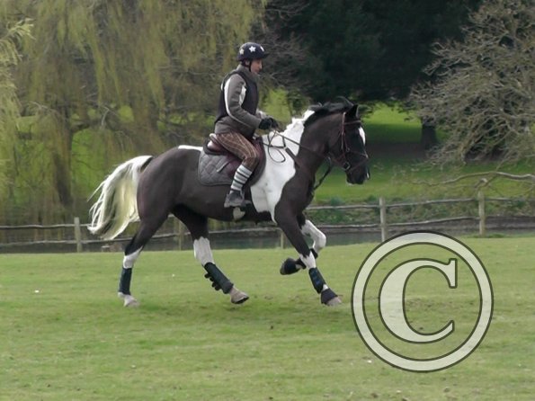 Anna messing about (3)