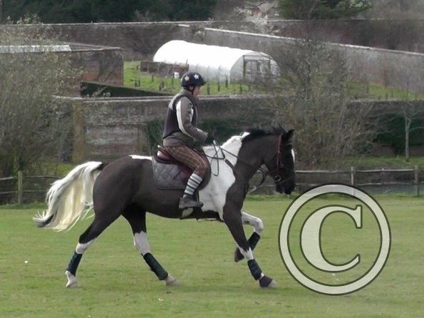 Anna messing about (4)