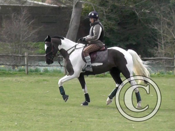 Anna messing about (6)