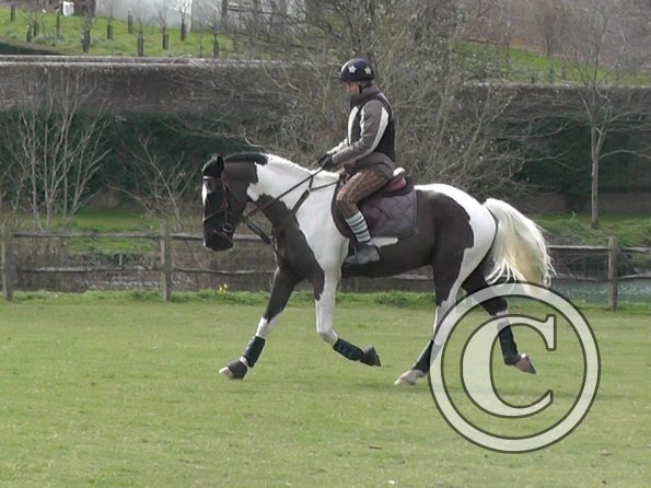 Anna messing about (8)