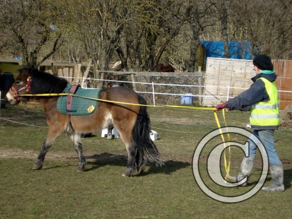 Julia and Appley Dappley (2)