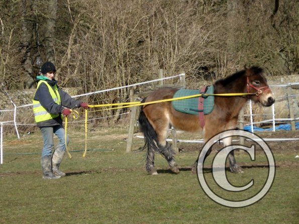 Julia and Appley Dappley (3)
