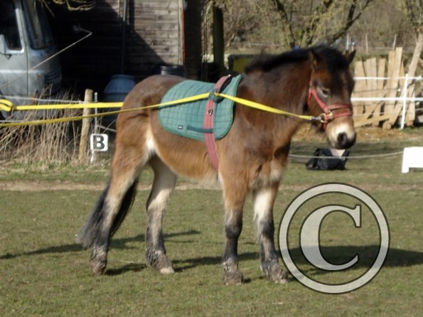 Julia and Appley Dappley (4)