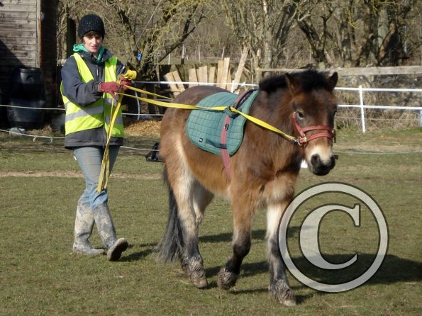 Julia and Appley Dappley (5)