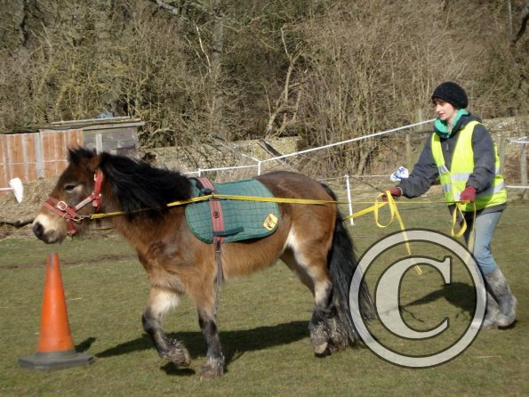 Julia and Appley Dappley (6)