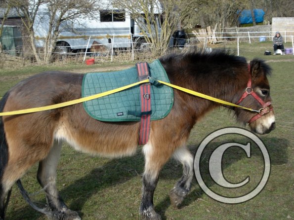 Julia and Appley Dappley