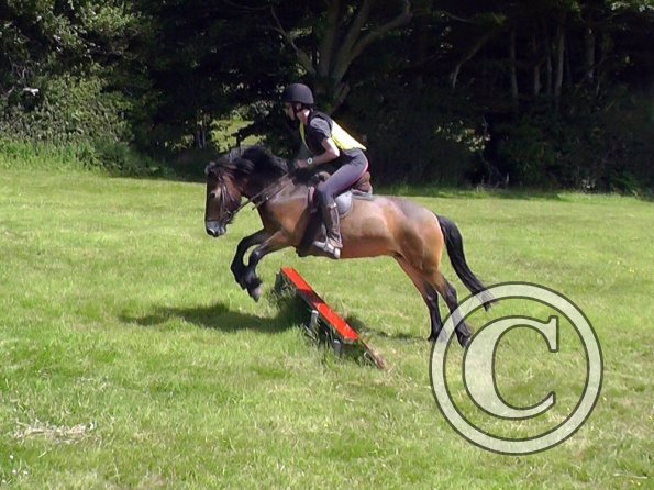 06-28-2015_094300(3)