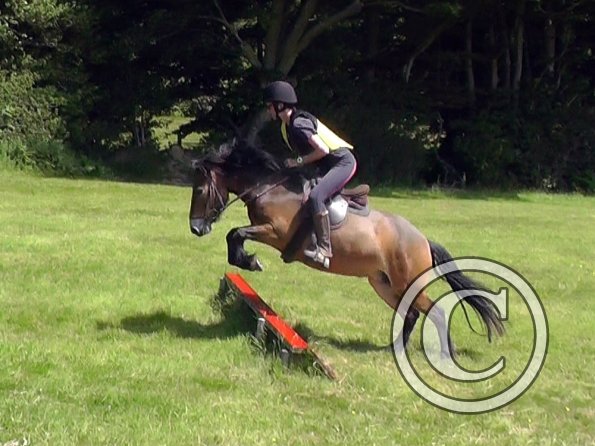 06-28-2015_094300(4)